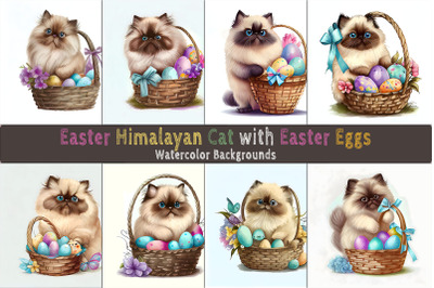 Easter Himalayan Cat background