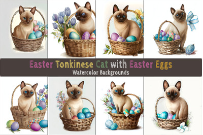 Easter Tonkinese Cat background