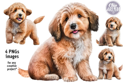 Sweet Labradoodle  Puppy Dogs Set 4 PNG  Clip Art  Images for Kids