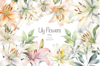 Lily Flowers clipart