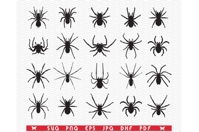 SVG Spiders, Black isolated silhouettes, digital clipart