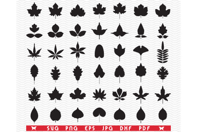 SVG Foliage, Black isolated silhouettes, digital clipart