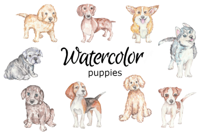 Puppies dogs watercolor clipart