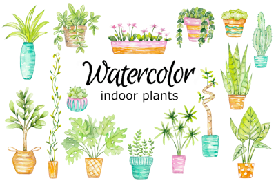 Indoor plants watercolor clipart