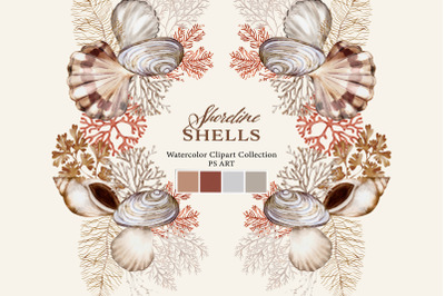 Watercolor Seashell Clipart Set