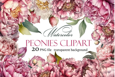 Peony Botanical Floral Collection