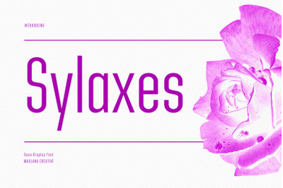 Sylaxes Condensed Sans Font