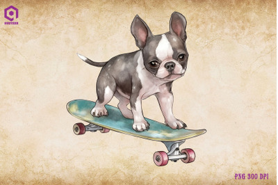 Boston Terrier Dog Skateboarding