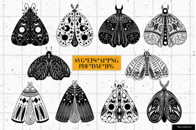 Mystical moths SVG PNG EPS