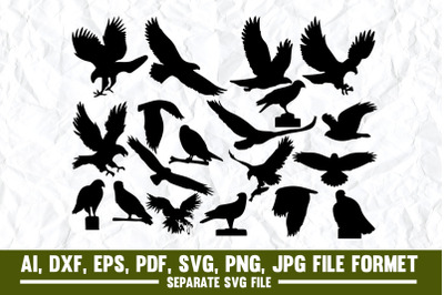 Falcon Bird, Vector, Eagle - Bird, Hawk Bird, Illustration, Symbol, Bi