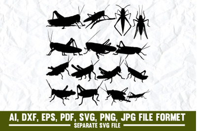 Locust, Grasshopper, White Background, Brown, Cut Out, Animal, Animal