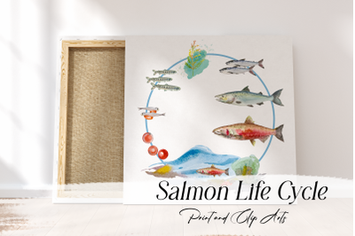 Watercolor Salmon Life Cycle and Clip Arts