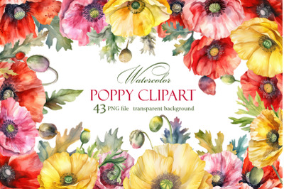 Poppy clipart, Watercolor floral clipart