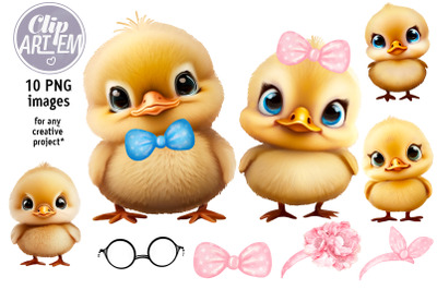 Sweet Baby Chicks and Ducklings Clip Art Bundle 10 PNG Images Digital