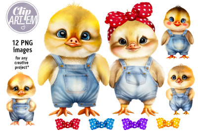 Baby Chicks and Ducklings Clip Art Bundle 12 PNG images Blue Denim