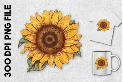 A Sunflower Clipart