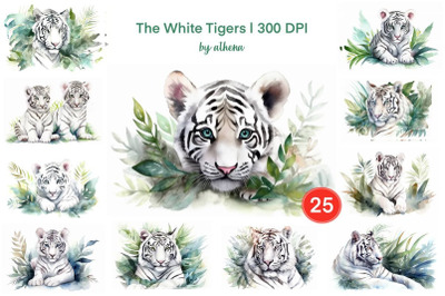 The White Tigers