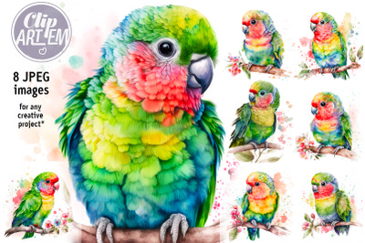 Colorful Baby Parrot 8 JPEG images Bundle Watercolor Painting Wall Art