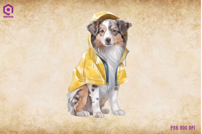 Australian Shepherd Dog Wearing Raincost