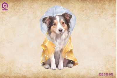 Border Collie Dog Wearing Raincost