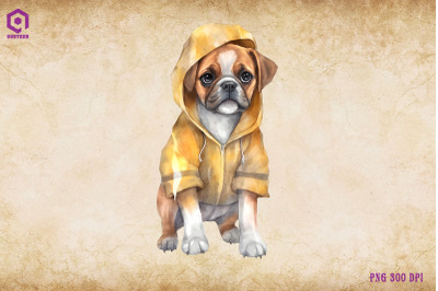 Boxer Dog Wearing Raincost