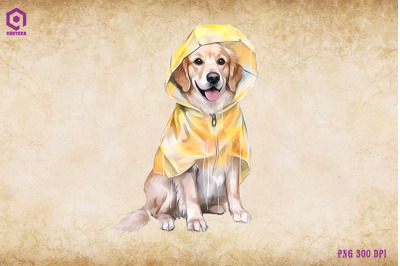 Golden Retriever Dog Wearing Raincost