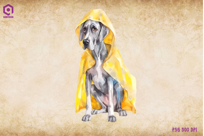 Great Dane Dog Wearing Raincost
