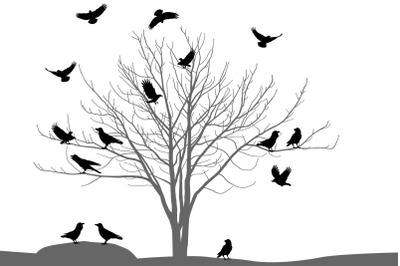 Ravens and crows on tree