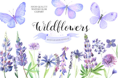 Watercolor Wildflowers Clipart PNG