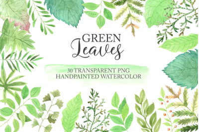 Watercolor Greenery Floral clipart PNG