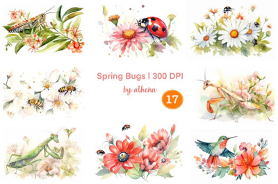 Spring Bugs