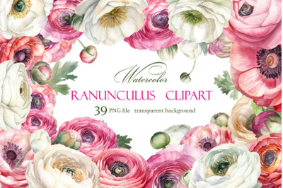 Ranunculus clipart, Watercolor floral clipart