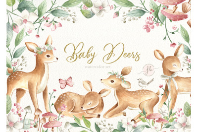 Baby Deers
