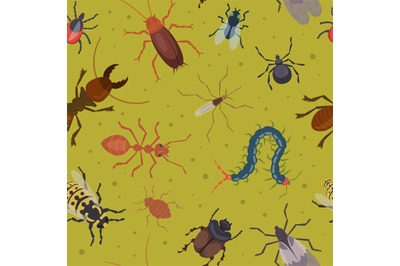 Insects pattern. Ants flea roaches harmful bugs illustrations for text