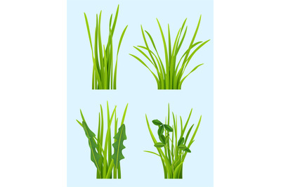 Realistic grass. Green plants tufting bushes decent vector weather sym