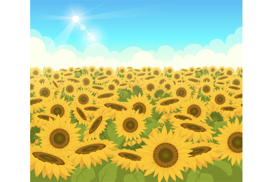 Sunflower field. Nature light outdoor background with beautiful yellow