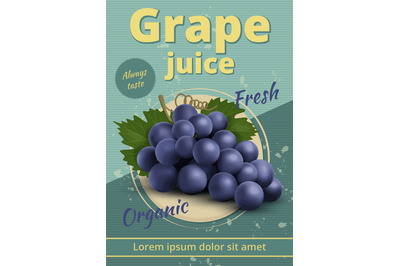 Grape poster. Vintage placard for grape ads decent vector retro illust