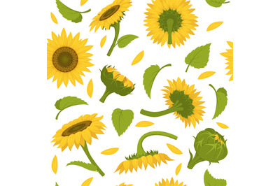 Sunflowers pattern. Colored decorative botanical seamless background f