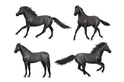 Galloping horses. Realistic running animals saddle horse beauty brown