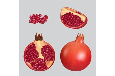 Pomegranate. Healthy natural fruits decent vector realistic illustrati