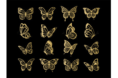 Gold wings butterfly. Golden insect bugs tatto silhouettes&2C; queen mona