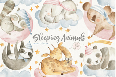 Sleeping Animals Watercolor Set