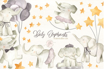 Elephant Baby Watercolor Illustration