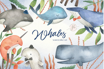 Whales  Sea Watercolor Clipart Set