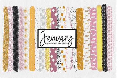 January Procreate Pattern Brushes | Glitter Procreate