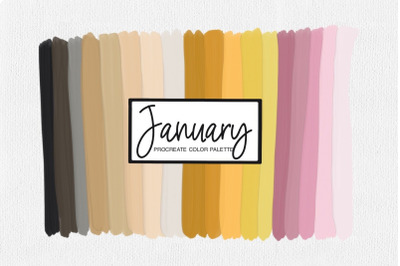 January Procreate Color Palette | New Years Eve