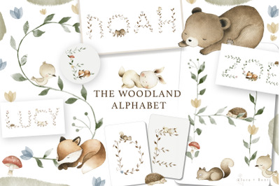Woodland Alphabet Watercolor animals