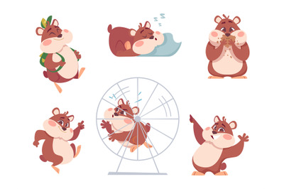 Hamster characters. Funny domestic fluffy animals in action poses home