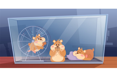 Domestic hamsters. Fluffy funny animals running in wheel playing eatin