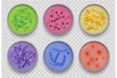 Bacteria gram. Various microorganism top views in petri dish bacteriol